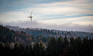 13 Windkraftanlagen sollen im Waldgebiet in der Nähe des Gauseköte entstehen. Sechs davon würden auf Schlänger Gemeindegebiet stehen. Durch das Veto der Militärs wegen der von ihnen behaupteten Flugkorridor sieht die Gemeinde ihre kommunale Selbstverwaltungsgarantie unzulässig beschnitten. - Symbolbild: pixabay
