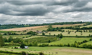 Hecken und Säume in der Landschaft schaffen Synergien zwischen Klimaschutz und dem Erhalt der biologischen Vielfalt. - Symbolbild: Pixabay Hecken und Säume in der Landschaft schaffen Synergien zwischen Klimaschutz und dem Erhalt der biologischen Vielfalt. - Symbolbild: Pixabay