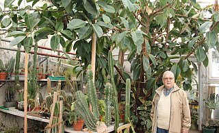 In Karl-Heinz Altekrügers Gewächshaus stehen in jeder Ecke Kakteen. Auf seinen vier Meter hohen Gummibaum ist er auch besonders stolz. - Chiara Wibbeke In Karl-Heinz Altekrügers Gewächshaus stehen in jeder Ecke Kakteen. Auf seinen vier Meter hohen Gummibaum ist er auch besonders stolz. - Chiara Wibbeke