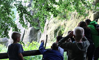 staunend-die-familien-lernen-die-natur-rund-um-die-externsteine-wahrend-der-gluhwurmchen-wanderung-ganz-neu-kennen - Joline Heller staunend-die-familien-lernen-die-natur-rund-um-die-externsteine-wahrend-der-gluhwurmchen-wanderung-ganz-neu-kennen - Joline Heller