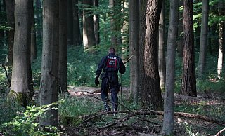 Die Polizei durchkämmte den Wald bei Barntrup und Blomberg vergangene Woche mehrmals. - Freitag TV Die Polizei durchkämmte den Wald bei Barntrup und Blomberg vergangene Woche mehrmals. - Freitag TV