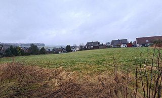 Auf diesem Grundstück am Hellweg in Humfeld soll ein Neubaugebiet entstehen. - Nadine Uphoff Auf diesem Grundstück am Hellweg in Humfeld soll ein Neubaugebiet entstehen. - Nadine Uphoff