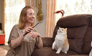 Janette Peters spielt mit Rassekatze "An Julie" im Wohnzimmer. - Karin Prignitz Janette Peters spielt mit Rassekatze "An Julie" im Wohnzimmer. - Karin Prignitz