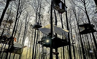 Die Bäume im Wald sind besetzt worden. Foto: UCM.ONE - UCM.ONE Die Bäume im Wald sind besetzt worden. Foto: UCM.ONE - UCM.ONE