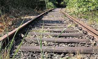 Ob es sich lohnt, die Begatalbahn zu reaktivieren – hier die Gleise in Brake – wird untersucht. „Pro Bahn“ fordert derweil die Einrichtung eines Haltepunkts in dem Lemgoer Ortsteil. - Archivfoto: Till Brand