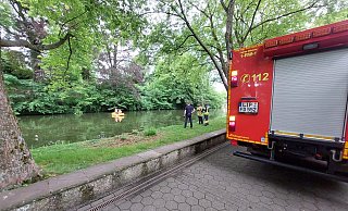 Die Feuerwehr birgt den K&uuml;ken-Kadaver. - Feuerwehr Detmold