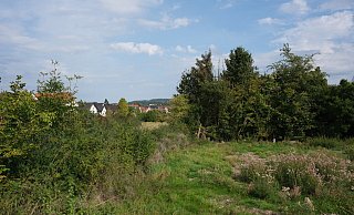 An der Bielefelder Straße ist gegenüber des künftigen Gewerbegebietes am früheren Betonwerk sowie gegenüber der Polizei noch viel Platz. Eine Kita soll entstehen - auch ein Baugebiet ist vorgesehen. Die Anlieger wehren sich aber dagegen. - Sven Koch An der Bielefelder Straße ist gegenüber des künftigen Gewerbegebietes am früheren Betonwerk sowie gegenüber der Polizei noch viel Platz. Eine Kita soll entstehen - auch ein Baugebiet ist vorgesehen. Die Anlieger wehren sich aber dagegen. - Sven Koch