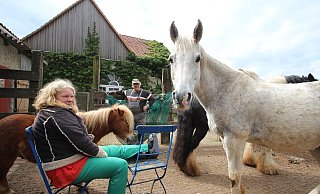 Sylvia Frevert ist wegen des gebrochenen Fußgelenks bei der Versorgung der Tiere auf ihrem Ponyhof auf Hilfe angewiesen. Mit im Bild sind Heulieferant John Bannasch vom Hof Pethig sowie Pony "Charlie" und der neugierig guckende Schimmel "Jack". - Jens Rademacher