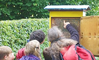 Eine Ferienaktion im Freilichtmuseum Detmold dreht sich um Bienen. Zunächst werden die Bienen vorgestellt, dann können die Kinder Kerzen aus Bienenwachs rollen. - Robin Jähne Eine Ferienaktion im Freilichtmuseum Detmold dreht sich um Bienen. Zunächst werden die Bienen vorgestellt, dann können die Kinder Kerzen aus Bienenwachs rollen. - Robin Jähne