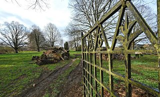 Auf dem früheren Friedhof könnte eine Art Bürgerwald entstehen. Das hat die CDU Ortsunion beantragt. - Sven Koch