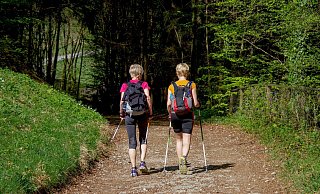 Waldwege teilweise nicht nutzbar: Der Kaiser-Wilhelm-Weg und der Grüne Weg zu Füßen des Hermannsdenkmals müssen aufgrund von Fällarbeiten für rund zwei Wochen gesperrt werden. - Symbolbild Pixabay
