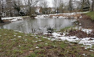 Der Bossenteich im Bösinfelder Ortszentrum: hier verendeten im Dezember Hunderte Fische, weil der Teich durchgefroren war. - Sylvia Frevert Der Bossenteich im Bösinfelder Ortszentrum: hier verendeten im Dezember Hunderte Fische, weil der Teich durchgefroren war. - Sylvia Frevert