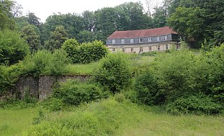 Unterhalb des Krummen Hauses hat sich einst ein Barockgarten befunden, der sich den Hang hinab bis zum Mausoleum zog. Die Terrassierung des Geländes ist noch zu erkennen. - Jana Beckmann Unterhalb des Krummen Hauses hat sich einst ein Barockgarten befunden, der sich den Hang hinab bis zum Mausoleum zog. Die Terrassierung des Geländes ist noch zu erkennen. - Jana Beckmann
