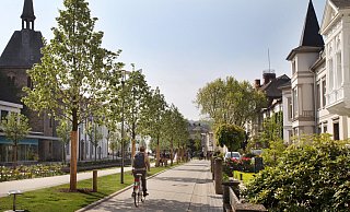 Der Wallgraben nach der Sanierung: Der dichte Bewuchs ist verschwunden, die neuen B&auml;ume wachsen. Viele Detmolder waren damals gegen die Sanierung und empfanden sie als zu steril. Manche sehen das immer noch so.&nbsp; - Bernhard Preuss