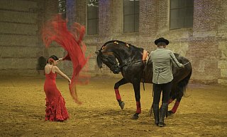 Die Hofreitschule in Cordoba: Solche Fotos zeigt Kay Maeritz bei seinem Andalusien-Vortrag in Kalletal. - Kay Maeritz