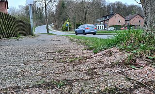 Der Radweg an der Lemgoer Straße (B66) ist in einem schlechten Zustand. Baumwurzeln drücken das Pflaster hoch. Das soll sich ändern. - Nadine Uphoff Der Radweg an der Lemgoer Straße (B66) ist in einem schlechten Zustand. Baumwurzeln drücken das Pflaster hoch. Das soll sich ändern. - Nadine Uphoff