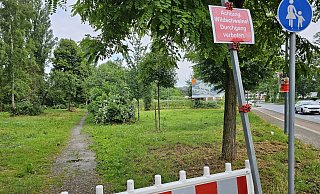 An der Alten Burg haben Spaziergänger und Radfahrer ein oder zwei Wildschweine gesehen. Die Beschreibungen waren sehr unterschiedlich. Der Weg wurde vorsichtshalber gesperrt. - Astrid Sewing An der Alten Burg haben Spaziergänger und Radfahrer ein oder zwei Wildschweine gesehen. Die Beschreibungen waren sehr unterschiedlich. Der Weg wurde vorsichtshalber gesperrt. - Astrid Sewing