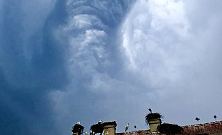 Mehrfach fuhr Robin Jähne von Detmold zum Bodensee, um die richtigen Bilder von einem Sturm über den Störchen in Salem in den Kasten zu bekommen. Schließlich klappte es. - Robin Jähne