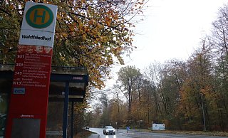 Die Haltestellen „Waldfriedhof“ beiderseits der Hauptstraße sind nicht beleuchtet. Vor allem im Herbst und Winter kann es hier auch nachmittags schon ganz schön dunkel werden. Fotos: Birgit Guhlke - Birgit Guhlke Die Haltestellen „Waldfriedhof“ beiderseits der Hauptstraße sind nicht beleuchtet. Vor allem im Herbst und Winter kann es hier auch nachmittags schon ganz schön dunkel werden. Fotos: Birgit Guhlke - Birgit Guhlke