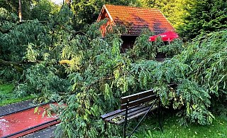 Die Baumkrone einer Robinie ist durch eine Windböe umgeknickt und auf eine der Minigolfbahnen gelandet. - Stadt Schieder-Schwalenberg Die Baumkrone einer Robinie ist durch eine Windböe umgeknickt und auf eine der Minigolfbahnen gelandet. - Stadt Schieder-Schwalenberg