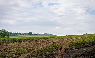 Besonders von den Äckern rund um Klüt bahnte sich das Wasser seinen Weg in die Ortschaft. - Raphael Bartling