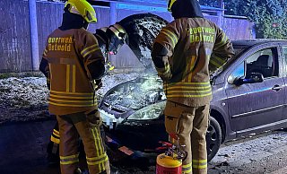 Die Feuerwehr &uuml;bernahm die Nachl&ouml;scharbeiten an dem Auto. - C.Rieks