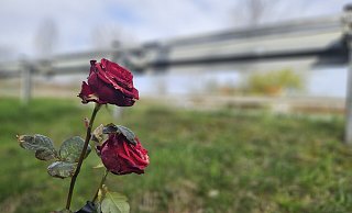 Angehörige haben am Rande der Unglücksstelle Blumen und eine Kerze in Erinnerung an den Getöteten aufgestellt. Auf dem Asphalt hinter der Leitplanke sind noch die Spuren des Unfallhergangs zu sehen. - Janet König