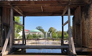 Auch der Blick durchs Gradierwerk zeigt Bäume im Park,  deren Kronen dünner als normal ausfallen. - Thomas Reineke