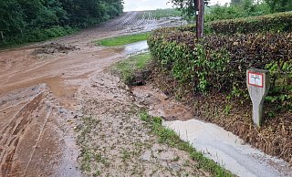 Starkregenereignisse wie im August dieses Jahres werden sich häufen. Deswegen verlangen die Grünen ein Konzept, um besser gegen Hochwasser gewappnet zu sein. - Marianne Schwarzer(LZ)