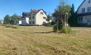 Die Lemgoer SPD beklagt, dass der Blühstreifen am Braker Weg auch in diesem Jahr abgemäht worden ist. - SPD Lemgo