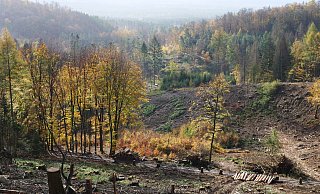 Blick vom Tönsberg auf die lippischen Wälder, die sich zum größten Teil in Privatbesitz befinden. Die Schneise im Wald ist eine Spur, die der Orkan Friederike vor drei Jahren hinterlassen hat. - Martin Düsterberg Blick vom Tönsberg auf die lippischen Wälder, die sich zum größten Teil in Privatbesitz befinden. Die Schneise im Wald ist eine Spur, die der Orkan Friederike vor drei Jahren hinterlassen hat. - Martin Düsterberg