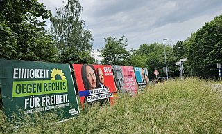 Am Marktkaufkreisel sind die Großplakate unversehrt - das Grün davor wuchert fröhlich. An der Breiten Straße wurden zwei Plakate mit verfassungsfeindlichen Symbolen verunstaltet. Der Staatsschutz ermittelt. - Astrid Sewing