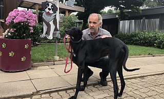 Stefan Quirini mit Windhund "Fly". Der tier- und menschenfreundliche Rüde sucht ein neues Zuhause. - Sven Kienscherf Stefan Quirini mit Windhund "Fly". Der tier- und menschenfreundliche Rüde sucht ein neues Zuhause. - Sven Kienscherf