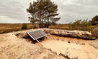 Nach Informationen der Initiative seien unberührte Bereiche des Truppenübungsplatzes für den erweiterten Übungsbetrieb aufbereitet worden. Beispielsweise seien wertvolle Binnendünen für Zielvorrichtungen aufgegraben worden. - Initiative Schlangen 4.0 Nach Informationen der Initiative seien unberührte Bereiche des Truppenübungsplatzes für den erweiterten Übungsbetrieb aufbereitet worden. Beispielsweise seien wertvolle Binnendünen für Zielvorrichtungen aufgegraben worden. - Initiative Schlangen 4.0