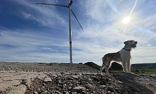 Die Windräder sind fertig, die Arbeiter weg. Was bleibt, sind immense Schäden an den Wirtschaftswegen, beliebte Wege für die Gassirunde. - Silke Buhrmester Die Windräder sind fertig, die Arbeiter weg. Was bleibt, sind immense Schäden an den Wirtschaftswegen, beliebte Wege für die Gassirunde. - Silke Buhrmester