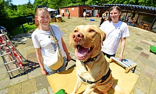 Labrador „Marley“ hat das erste Hindernis im Parcours bezwungen, Frauchen Sina Volkmann (links) und Hundetrainerin Sabrina Allersmeier freuen sich. - Nicole Ellerbrake