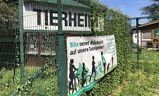 Das Tierheim an der Ziegelstraße beherbergt Hunde, Katzen und Kleintiere. - Sven Kienscherf Das Tierheim an der Ziegelstraße beherbergt Hunde, Katzen und Kleintiere. - Sven Kienscherf