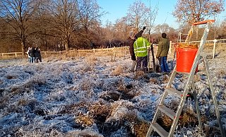 Die Biologische Station Lippe bietet Obstbaum-Schnittkurse an. - Vanessa Kowarsch