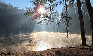 Der Wald im Wintermodus - hier am Donoperteich: Nach dem Geschmack der Förster sollte es weiter klirrend kalt und möglichst trocken bleiben. - Anne Wolf