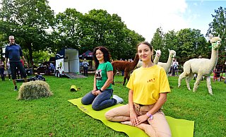Iwona Festing (links) und Justyna Jankowska machen beim Alpaka-Yoga mit. - Nicole Ellerbrake Iwona Festing (links) und Justyna Jankowska machen beim Alpaka-Yoga mit. - Nicole Ellerbrake