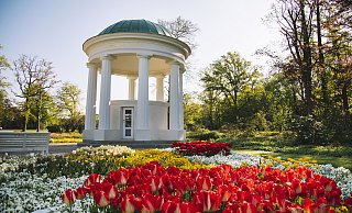 Der Leopoldsprudel im Kurpark. - Nadja Jacke