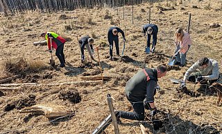 Verantwortliche des Landesverbandes und Vertreter der Wortmann-Gruppe pflanzen die gesponserten Setzlinge. - Wortmann Gruppe