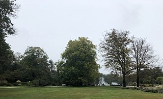 Zwei gesunde und zwei kranke Rotbuchen: Dieses stattliche Bäume-Quartett am Eingang am Kurparksee ist in einem unterschiedlichen Zustand, den auch ein Laie erkennen kann. - Thomas Reineke Zwei gesunde und zwei kranke Rotbuchen: Dieses stattliche Bäume-Quartett am Eingang am Kurparksee ist in einem unterschiedlichen Zustand, den auch ein Laie erkennen kann. - Thomas Reineke