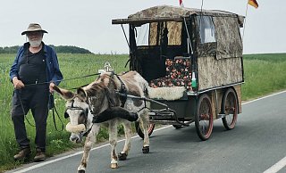 Der Holländer Erik van Bronswijk ist mit Eselin "Sientje" rund 600 Kilometer unterwegs von Nijmegen nach Wittenberg. Kurz vor Alverdissen macht er Station. - Sylvia Frevert