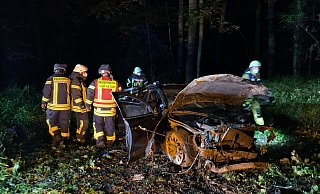 Nur noch Schrott: Der Audi liegt völlig zerstört auf einem Waldweg zwischen Wüsten und Bad Salzuflen. - Daniel Hobein/Feuerwehr Bad Salzuflen Nur noch Schrott: Der Audi liegt völlig zerstört auf einem Waldweg zwischen Wüsten und Bad Salzuflen. - Daniel Hobein/Feuerwehr Bad Salzuflen