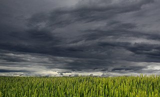 Dunkle Wolken schieben sich auch über den lippischen Himmel. - Symbolfoto: Pixabay