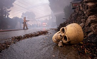 Ein Sch&auml;del aus Kunststoff liegt auf einer Stra&szlig;e in Los Angeles. Verheerende Waldbr&auml;nde fressen sich immer weiter durch Teile Kaliforniens. - Foto: David Crane/Orange County Register via ZUMA/dpa