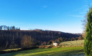 Das Foto zeigt den Blick auf den Buchenberg vom Naturfreundehaus in der Schnat aus, über Wiesen und einen Schuppen und das Silberbachtal hinweg. - Naturparkfreunde