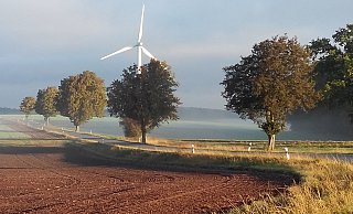 Das Bild zeigt ein Windrad nahe Hohensonne. Ein ähnliches könnte auf dem Bromberg entstehen. - Sylvia Frevert