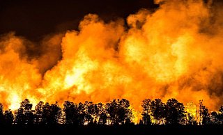 Ein Waldst&uuml;ck im Mariapeel bei Deurne in den Niederlanden steht unter Feuer. - Foto: Rob Engelaar/ANP/dpa